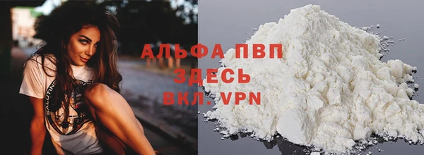 индика Армянск