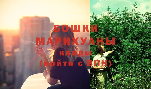 стафф Аркадак