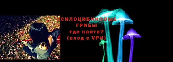 кокс Арсеньев