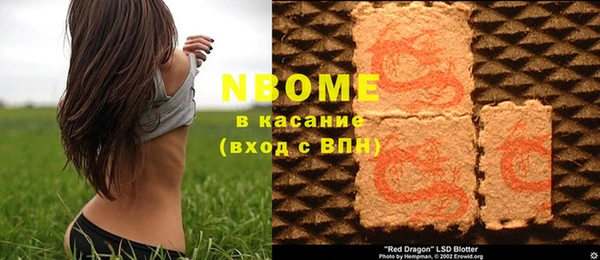 индика Армянск
