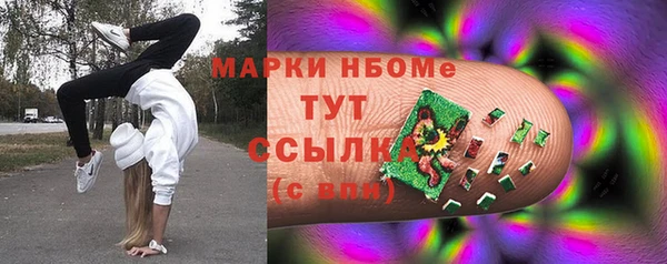 стафф Аркадак