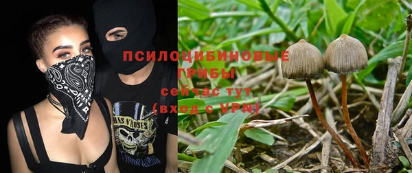 стафф Аркадак