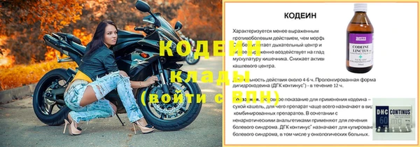молекула духа Белокуриха