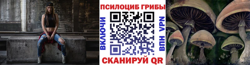 KRAKEN ссылки  где купить   Углегорск  Галлюциногенные грибы Psilocybe 